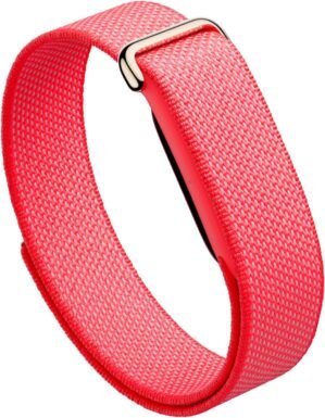 Google Fitbit Air Performance Loop ...