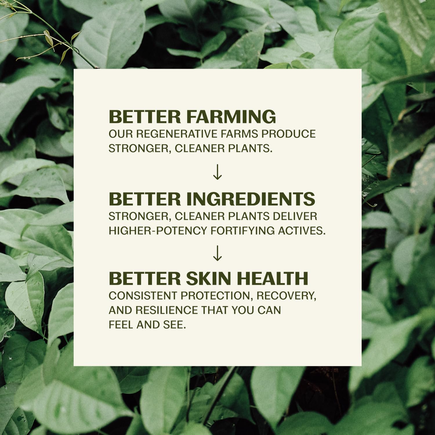 Thrive Natural Care Mineral Face Sunscreen SPF 30 - Daily Sunscreen for Face, No White Cast, Non-Nano Zinc Oxide - Lightweight Moisturizer Broad-Spectrum Protection - Vegan, 2 Fl Oz - Image 4
