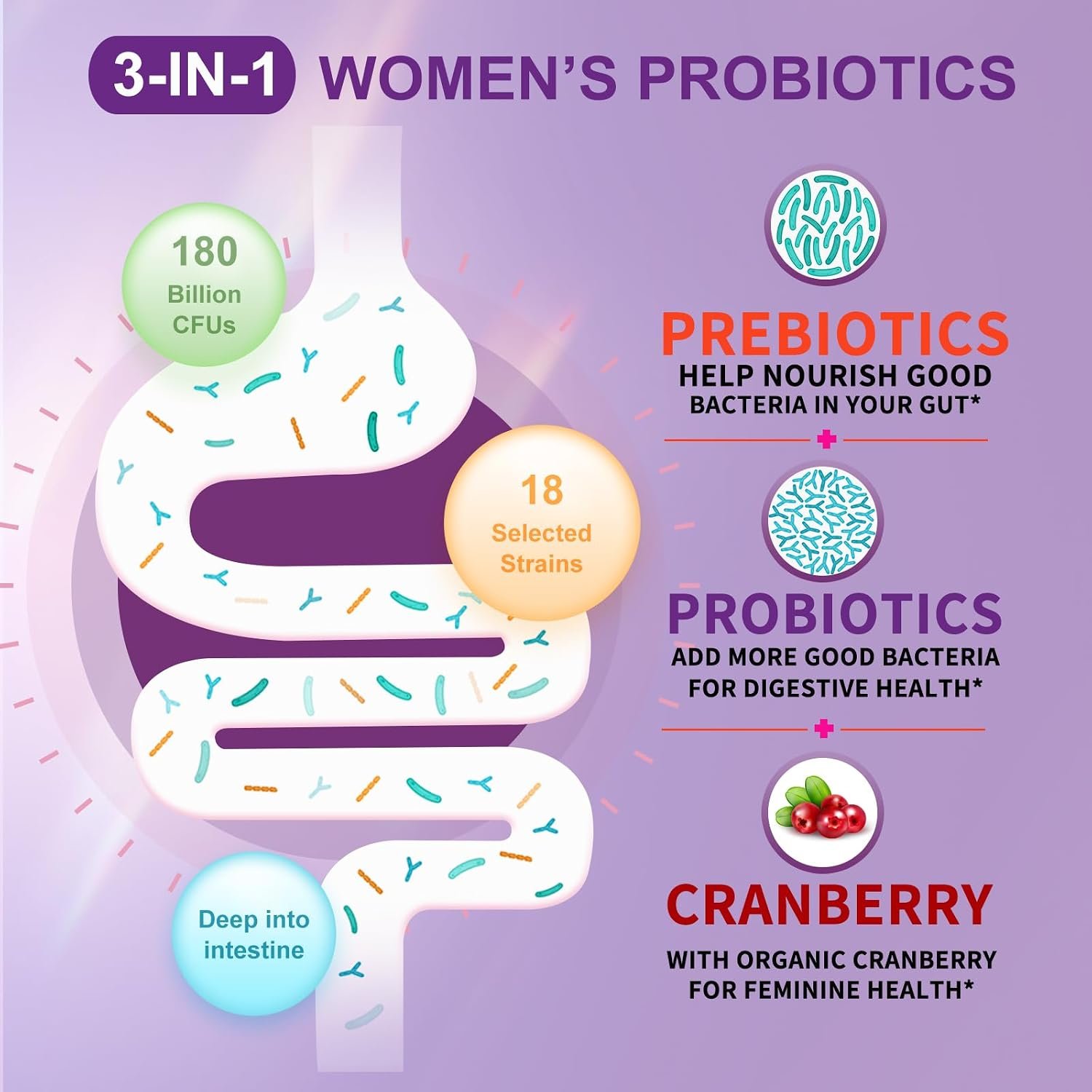 OMOGS Women's Probiotic 180 Billion CFUs 18 Strains, with Organic Prebiotics, Cranberry Extract, D-Mannose & Digestive Enzymes, for Digestive, Boost Immune, PH Balance & Urethral Health, 90 Capsules - Image 3