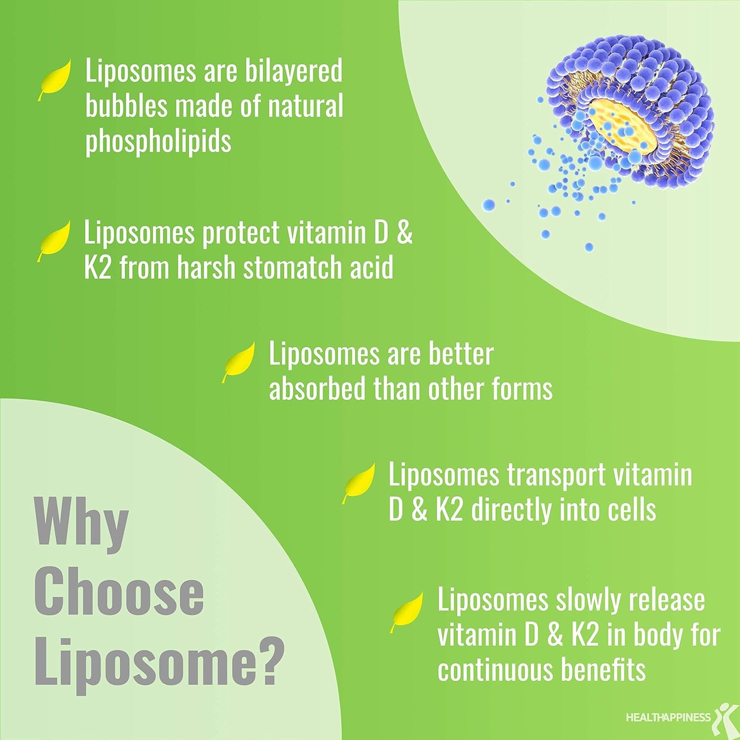 UpNourish Liposomal D3 K2 MK-7 – 365 Mini softgels with Organic Coconut Oil - 5000 IU 125 mcg Vitamin D3 and 100 mcg Vitamin k2 for Optimal Bone and Immune Health - Image 3