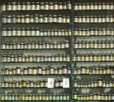 How to Organize Your Vitamins and Supplements Safely at Home